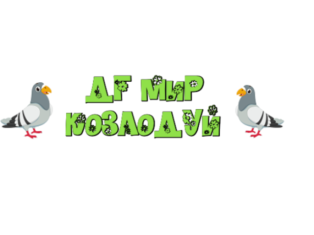 ДГ МИР – Козлодуй